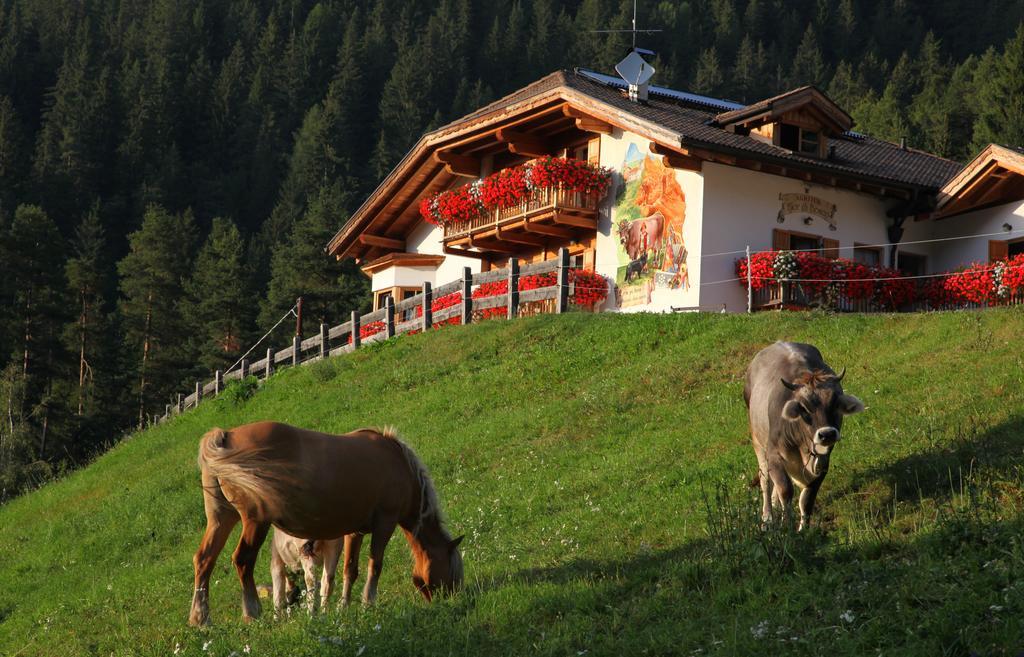 Agritur Fior Di Bosco 호텔 Valfloriana 외부 사진