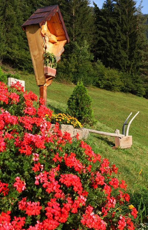 Agritur Fior Di Bosco 호텔 Valfloriana 외부 사진